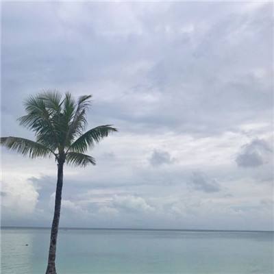 思美人手机版下载
